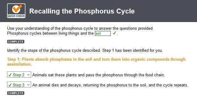 Animals eat these plants and pass the phosphorus through the food chain-example-1