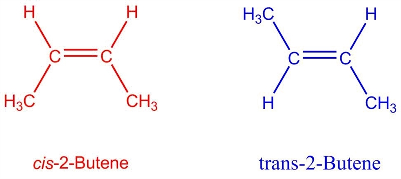 A geometric isomer with two alkyl groups on the same side of the carbon-carbon double-example-1