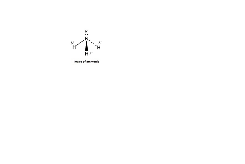 The electronegativity of nitrogen (n) is 3.0, while the electronegativity of hydrogen-example-1