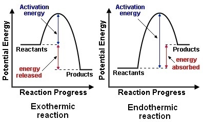 In an _____ process, the system releases heat that is absorbed by the ____; in an-example-1