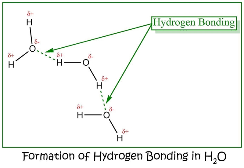 Water molecules have a polarity, which allows them to be electrically attracted to-example-1