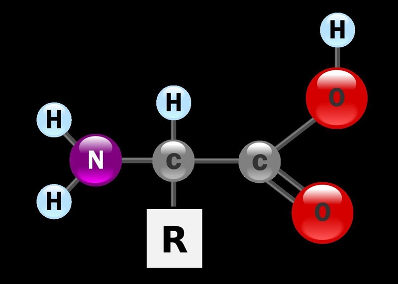 Which compound is an example of an amino acid? A. glycine (NH 2 CH 2 COOH) B. propanoic-example-1