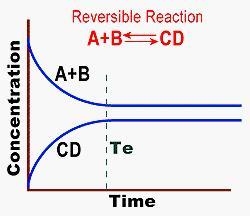 After reaching equilibrium, the rate of formation of products is less than the rate-example-1