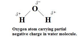 What type of charge is carried by the oxygen atom of a water molecule? a charge of-example-1