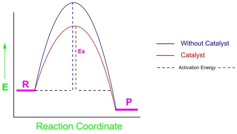 If the energy graphs of a reaction, catalyzed and uncatalyzed, are examined, the peak-example-1