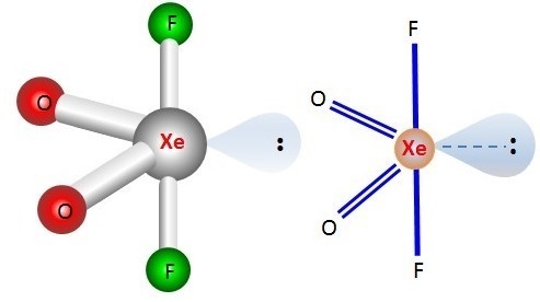 what is the structure of XeO2F2???i know its hybridization as sp3d but cannot quite-example-2