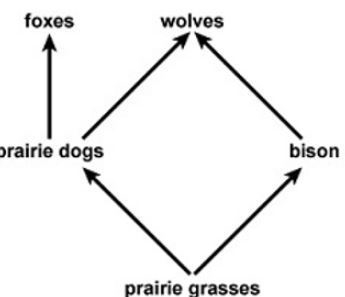 Please help a s a p! List the predators and the prey from the following diagram. (Hint-example-1