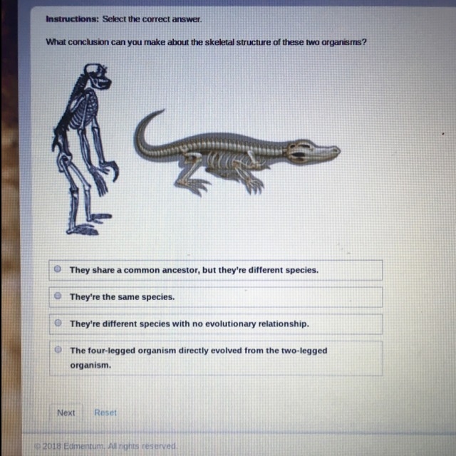 What conclusion can you make about the skeleton structure of these two organisms-example-1