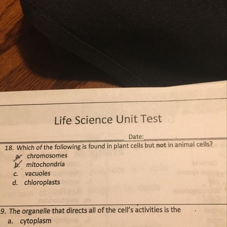 I don’t know the answer-example-1