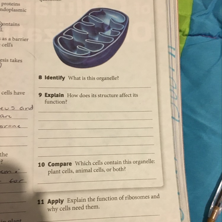 Can u help me with these 4-example-1