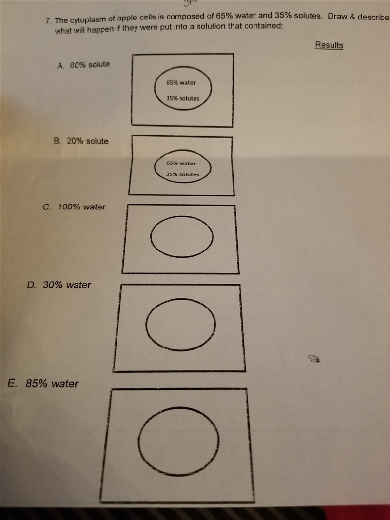 What would the answer be-example-1