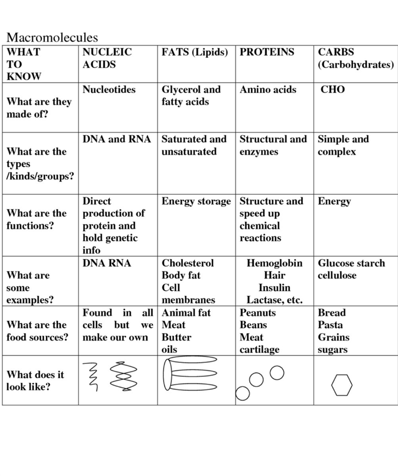 Please fill out the chart-example-1