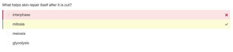What helps skin repair itself after it is cut? A. Interphase B. Glycolysis C. Mitosis-example-1