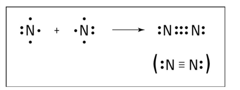 Which of the following diatomic molecules is joined by a triple covalent bond? O2 Cl-example-1