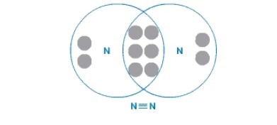 Which of the following diatomic molecules is joined by a triple covalent bond? O2 Cl-example-1