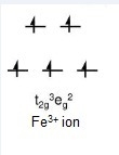 Referring to the ground state orbital diagram of Fe and Fe3+, explain why iron is-example-3