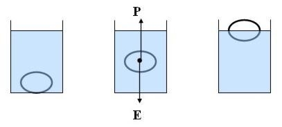 An object will _____ if the weight of the liquid displaced is less than the weight-example-1