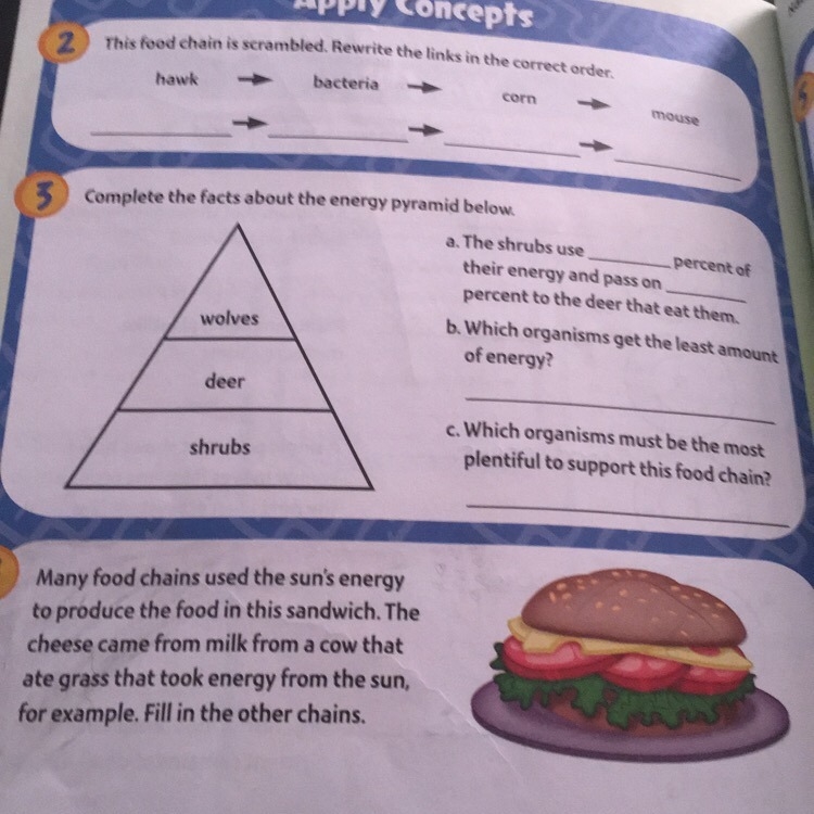 Can you help me with 2 and 3 please-example-1