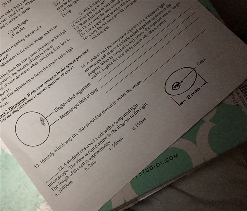 Help !! Just number 10 ,11 ,12 thanks!-example-1