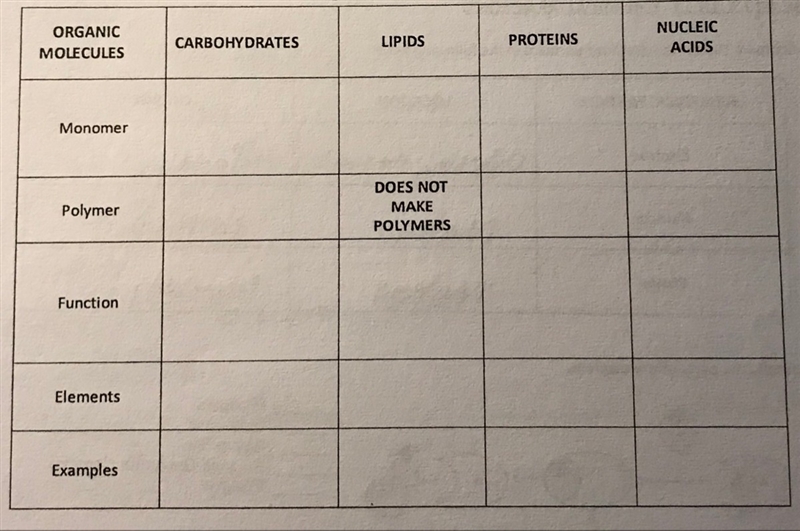 Please fill out the chart-example-1