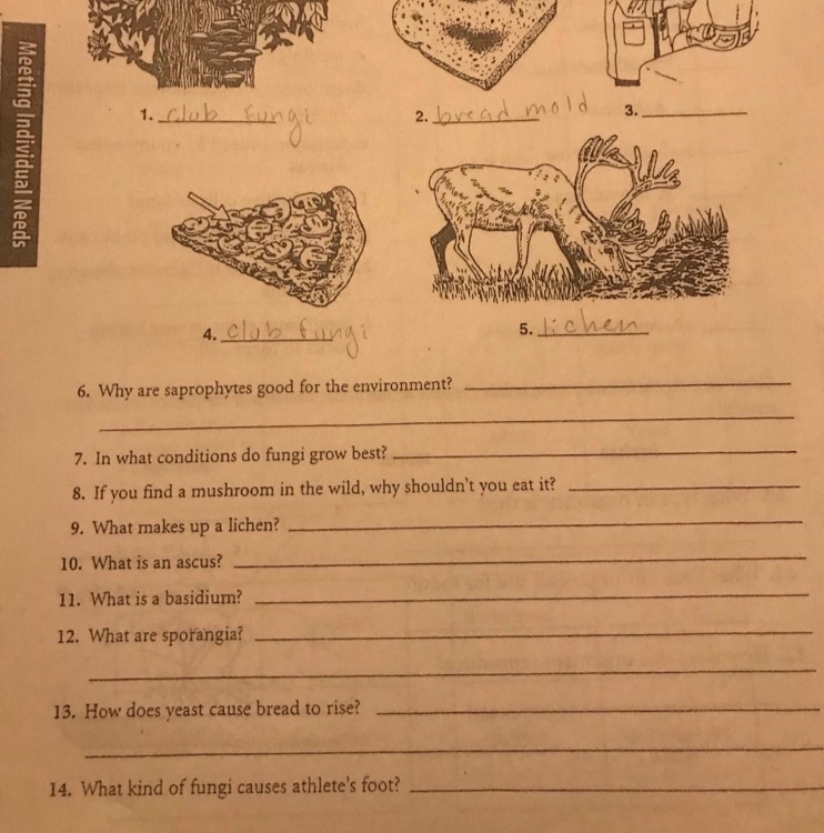 Not chemistry but I need help. Someone plz answer these-example-1