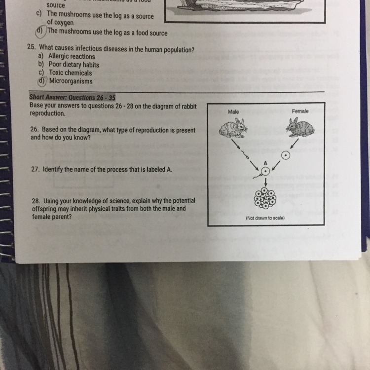 Please I need help with questions 26-28 and it’s very hard and I’m struggling with-example-1