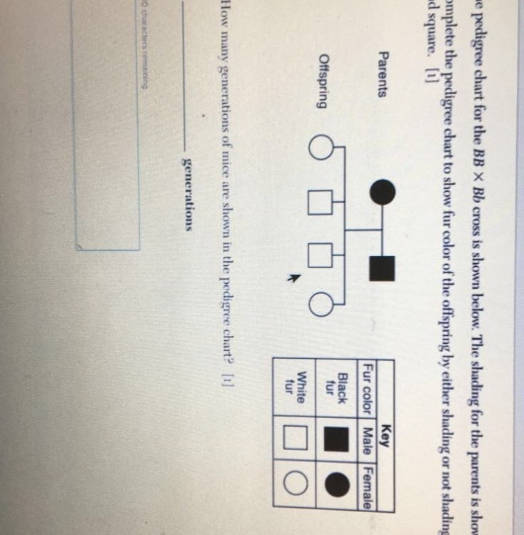 Please help how many generations of mice are shown in the pedigree chart-example-1