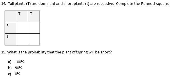 Tall plants (T) are dominant and short plants (t) are recessive. Complete the Punnett-example-1