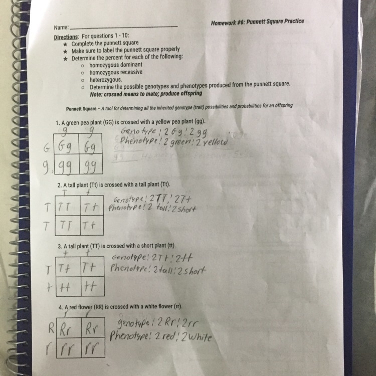 Can you check if I did the Punnett square labels good or not if I didn’t can you help-example-1