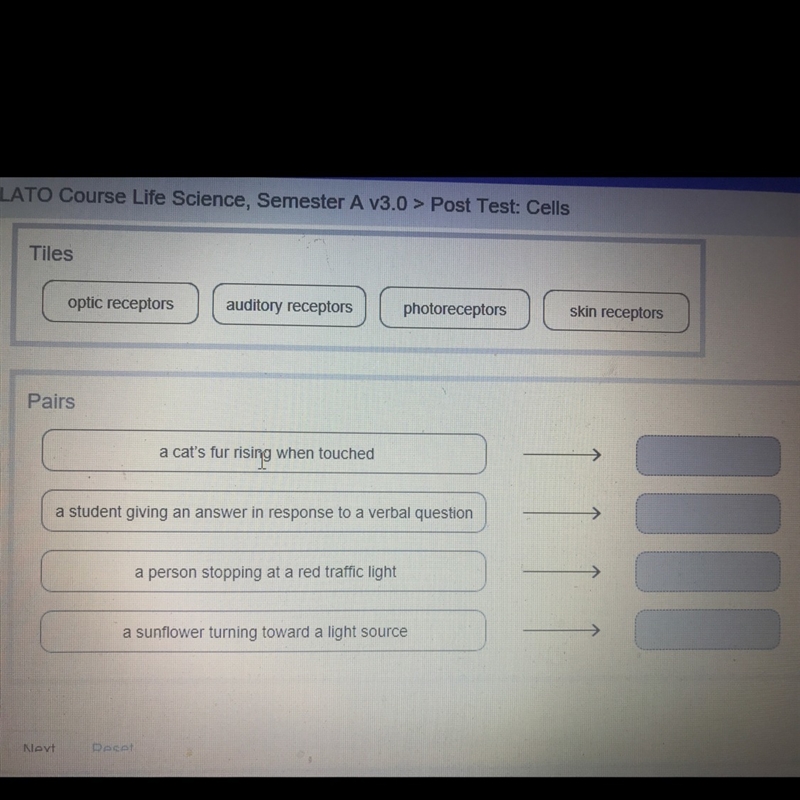 Match the receptors with their motor responses?-example-1