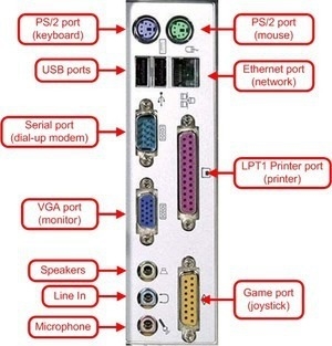 A(n) ___ is a hardware device that plugs into one of the ports of a computer.-example-1