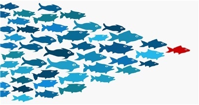 The image uses a school of fish to symbolize leadership. Based on the image, the leader-example-1