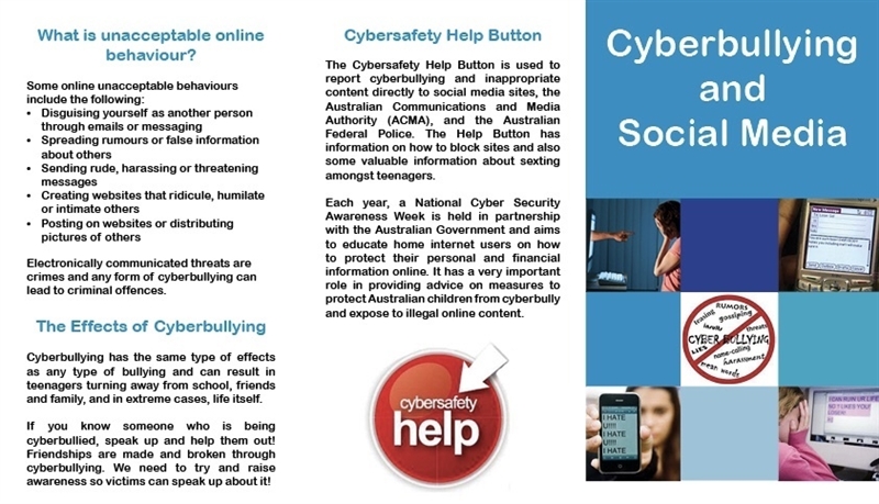 I NEED HELP ASAP! I need a cyber bullying brochure. Can anyone make one? Or have one-example-1