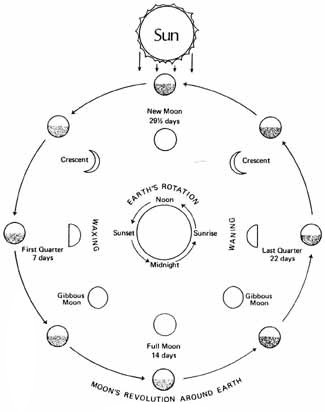 (Astronomy) moon 10 pts. Thanks-example-1