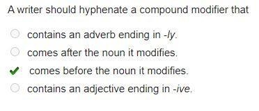 A writer should hyphenate a compound modifier that-example-1