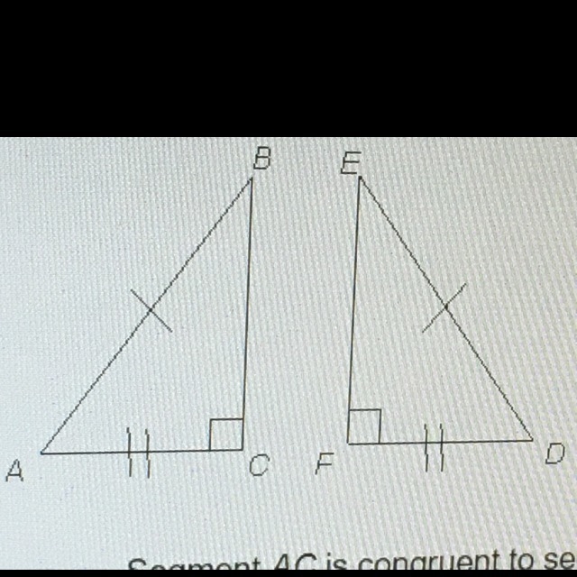 Which is a logical conclusion based on the information given in the figure? A. Segment-example-1