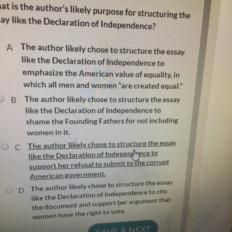 What is the authors likely purpose for structuring the essay like the Declaration-example-1