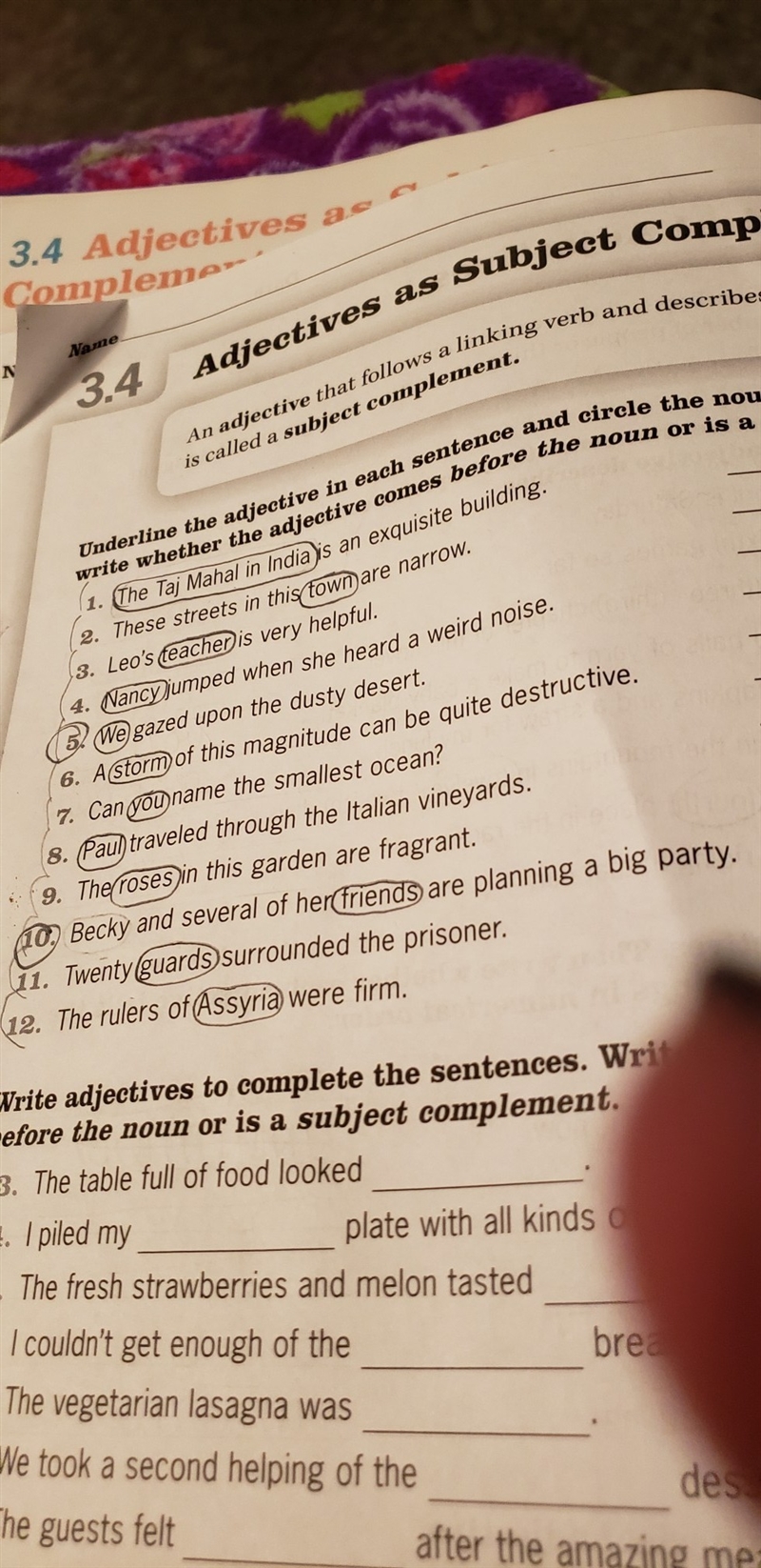 underline the adjectives in each sentence and circle the noun it modifies then write-example-1