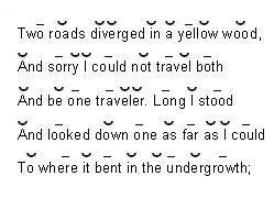 Which line is scanned incorrectly? line 1 line 2 line 3 line 4 line 5-example-1