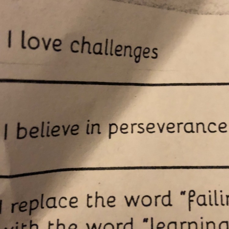 What does the word perseverance mean-example-1