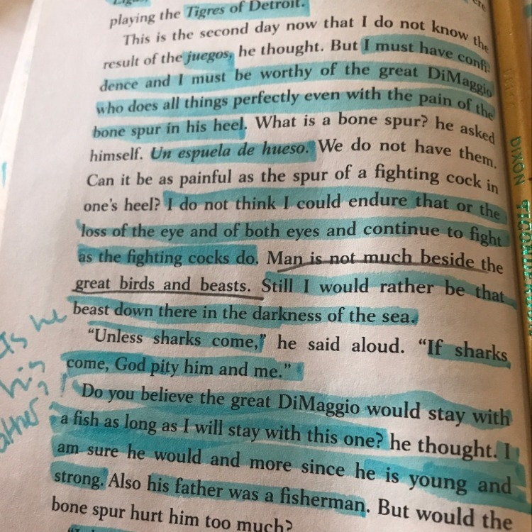 The question is In the book The Old Man and The Sea by Ernest Hemingway what does-example-1