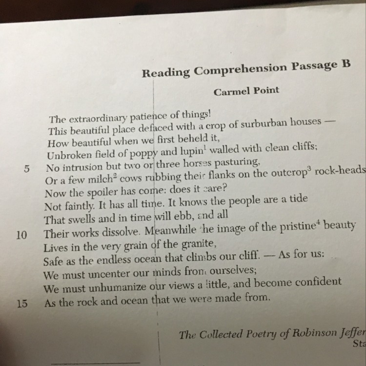 The description in lines 3-6 creates a mood of: Despair Amusement Tranquility Negativity-example-1