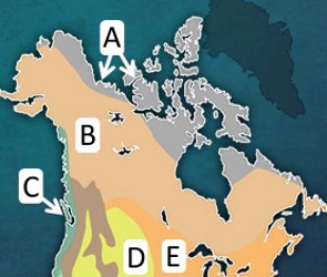 Look at the map above. Which of the following climate regions is represented in Canada-example-1