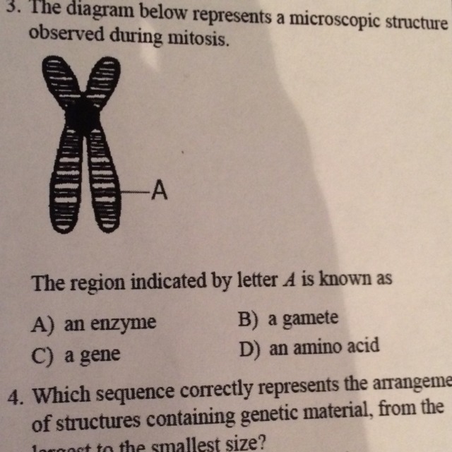 The region indicated by letter A is known as-example-1