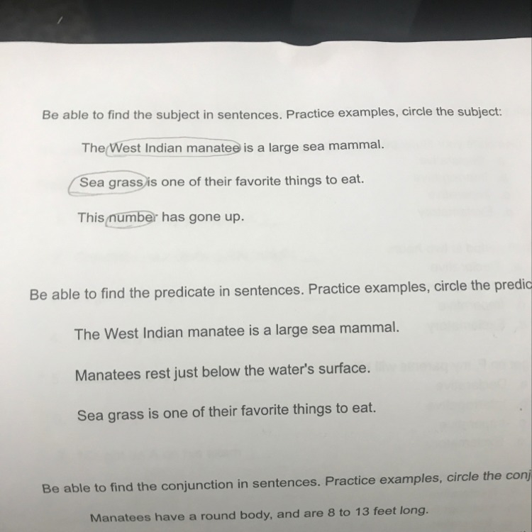 Circle the predicate-example-1