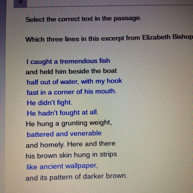 Which three lines in this excerpt from Elizabeth Bishop’s the fish shown that the-example-1