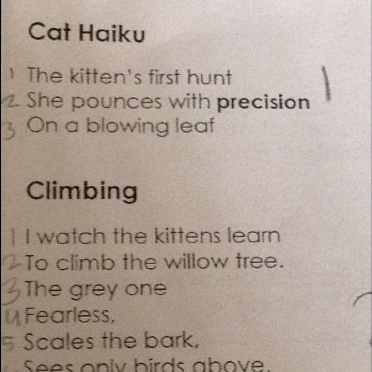 What does precision mean in this poem Cat Haiku-example-1