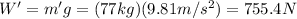 W' = m'g=(77 kg)(9.81 m/s^2)=755.4 N