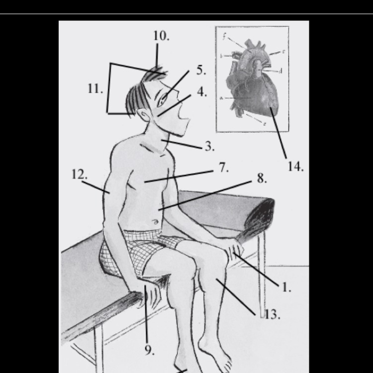 Need help with these body parts in French?-example-1