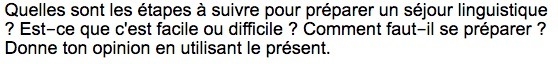 I HAVE A FRENCH QUESTION! PLEASE HELP!! The answer must be 4-6 sentences.-example-1